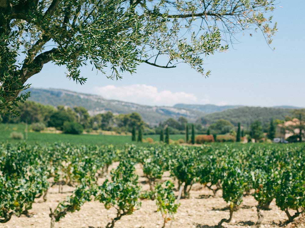 Sustainable Agriculture